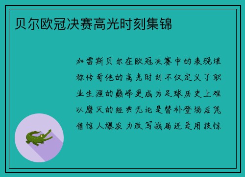 贝尔欧冠决赛高光时刻集锦